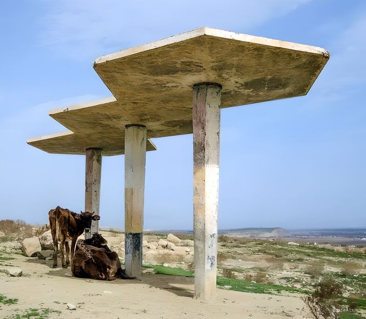 image-20230825120027-13