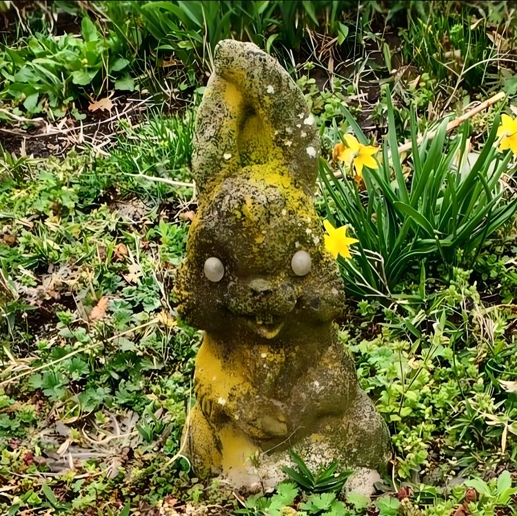 image-20230830122650-2