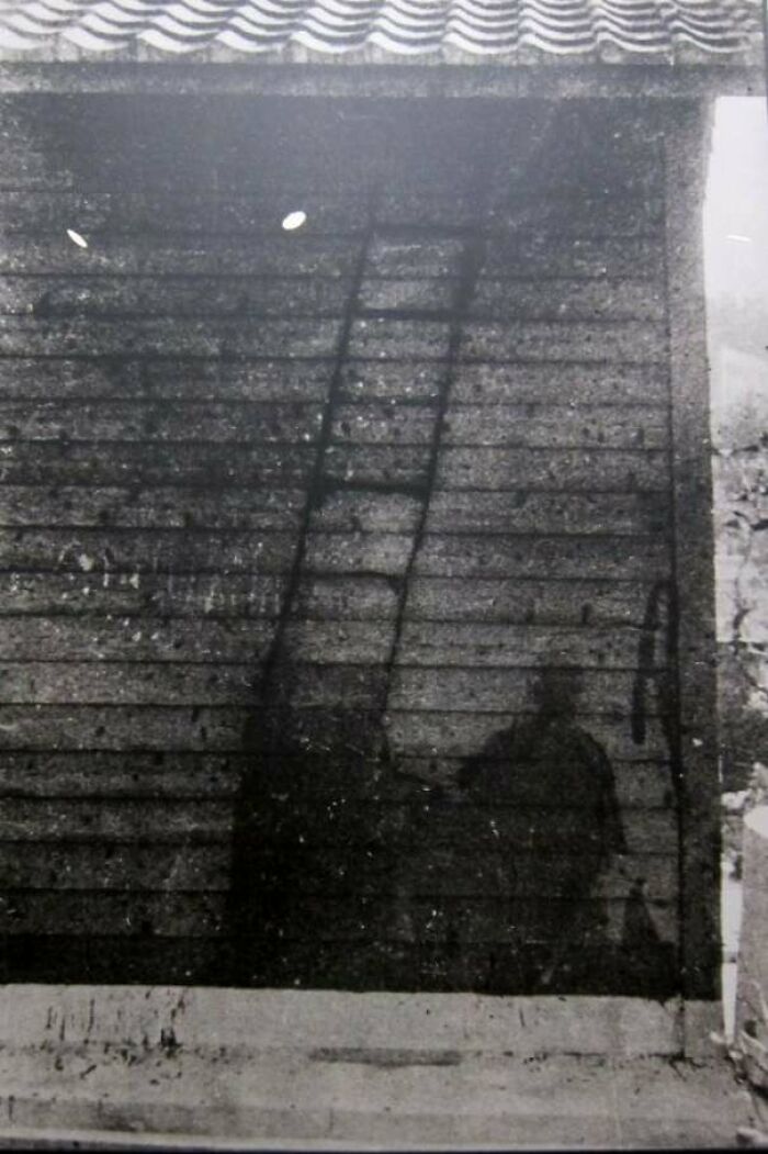 image-20230830122654-3