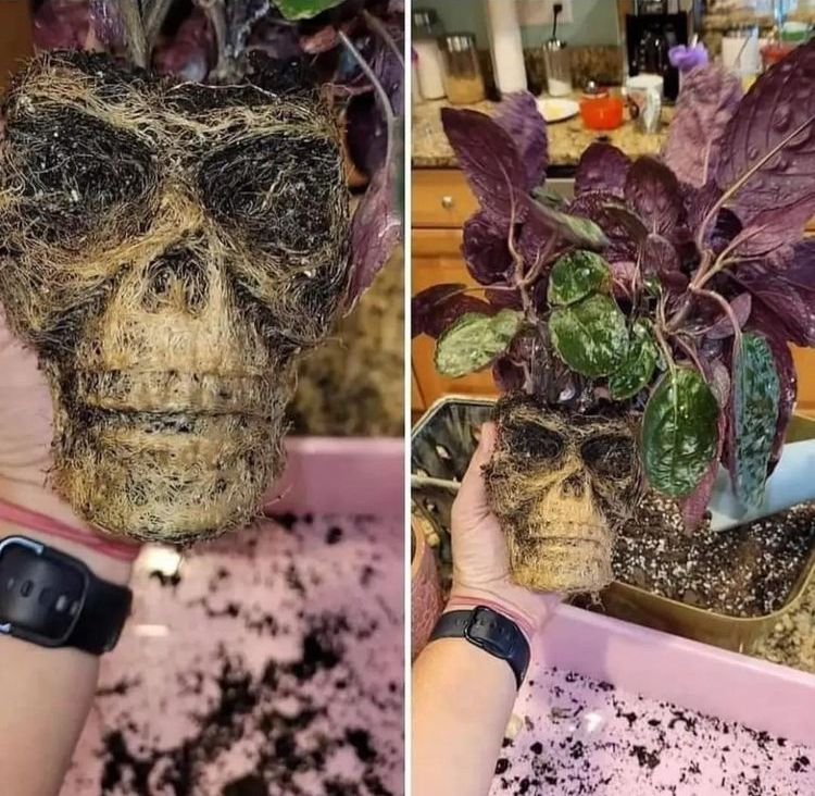 image-20230830122657-4