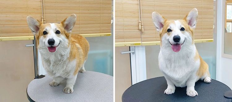 image-20230830165233-2