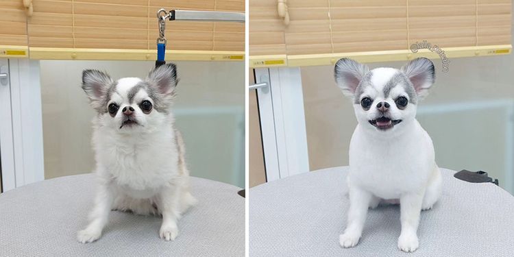 image-20230830165238-4