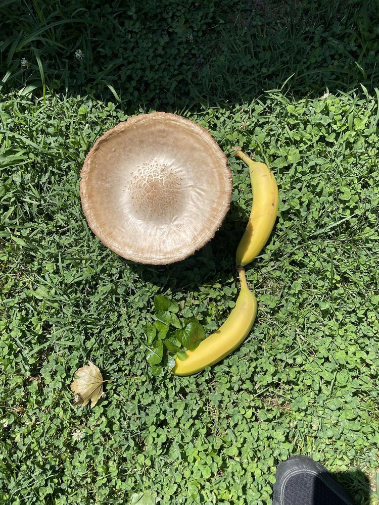 image-20230904033412-1