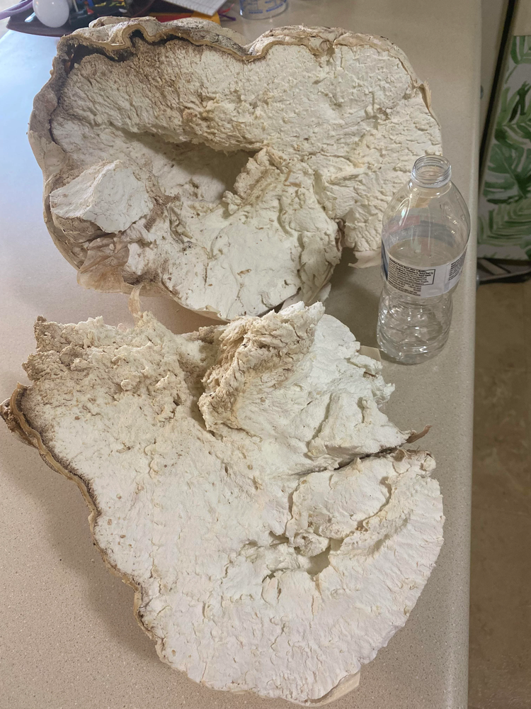 image-20230904042635-2