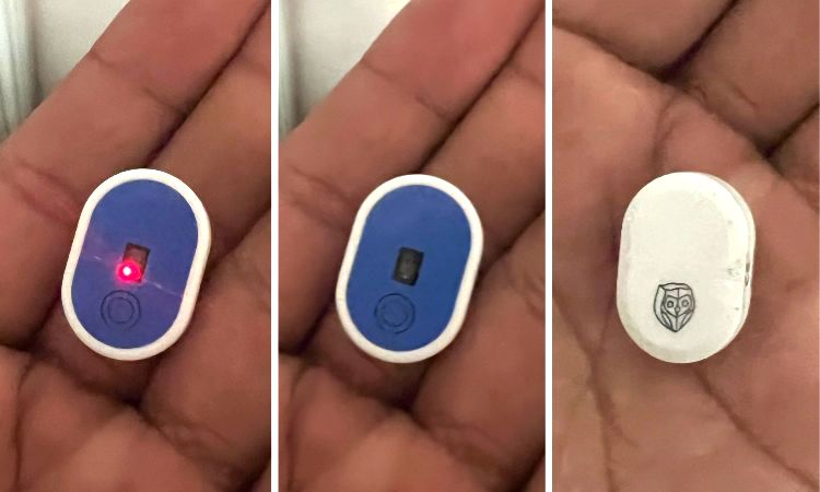 image-20230905114807-8