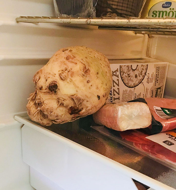 image-20230905121714-16