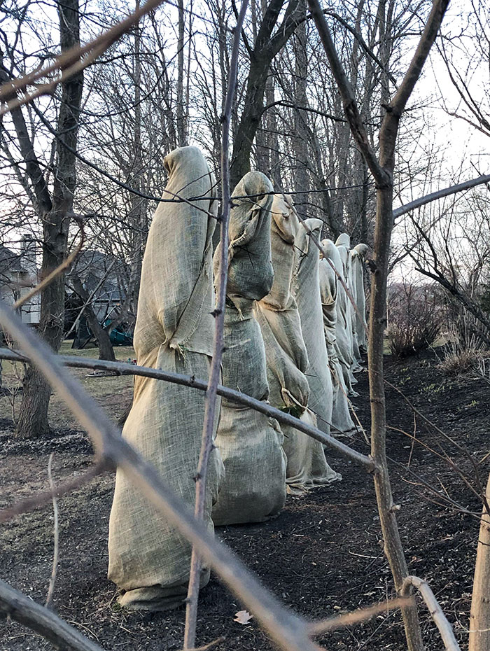 image-20230905121717-17