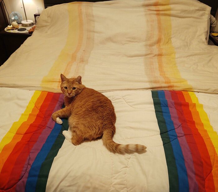 image-20230905140119-11