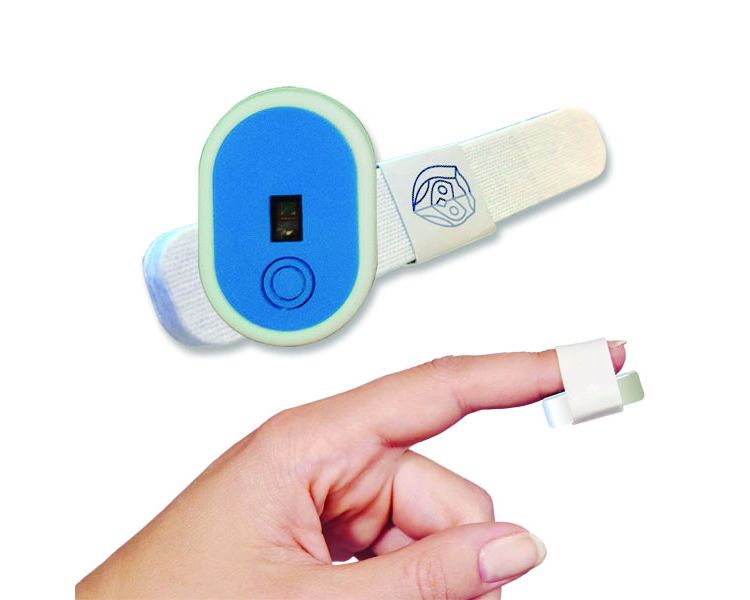 image-20230905145734-1