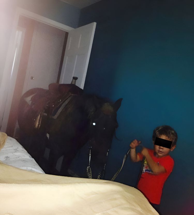 image-20230907091630-3