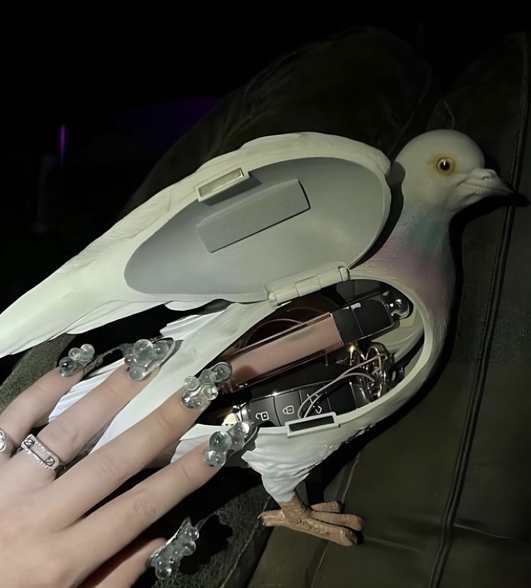 image-20230907091747-17