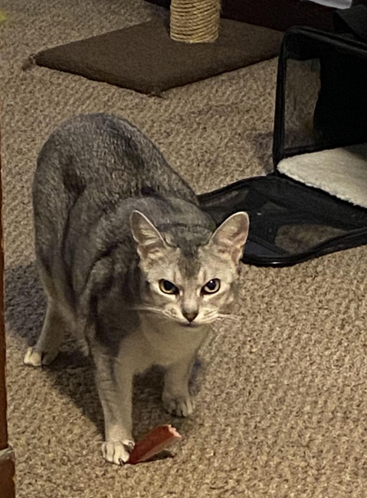 image-20230907132143-1