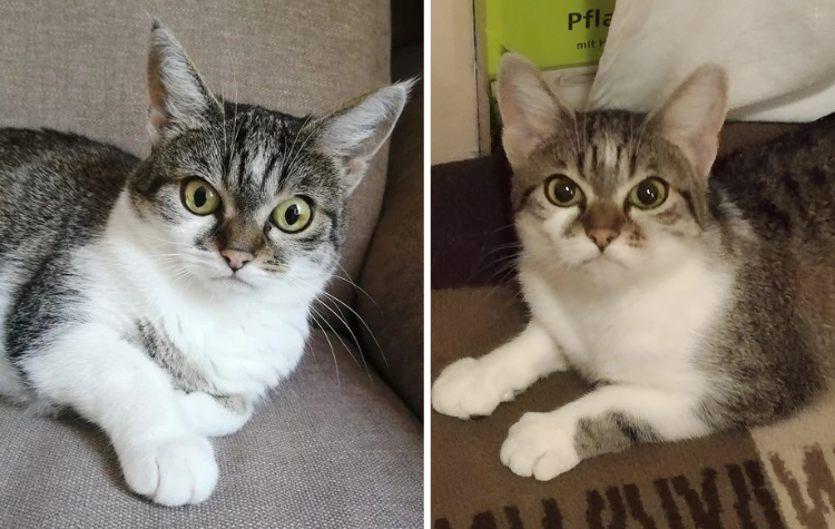 image-20230907132157-5