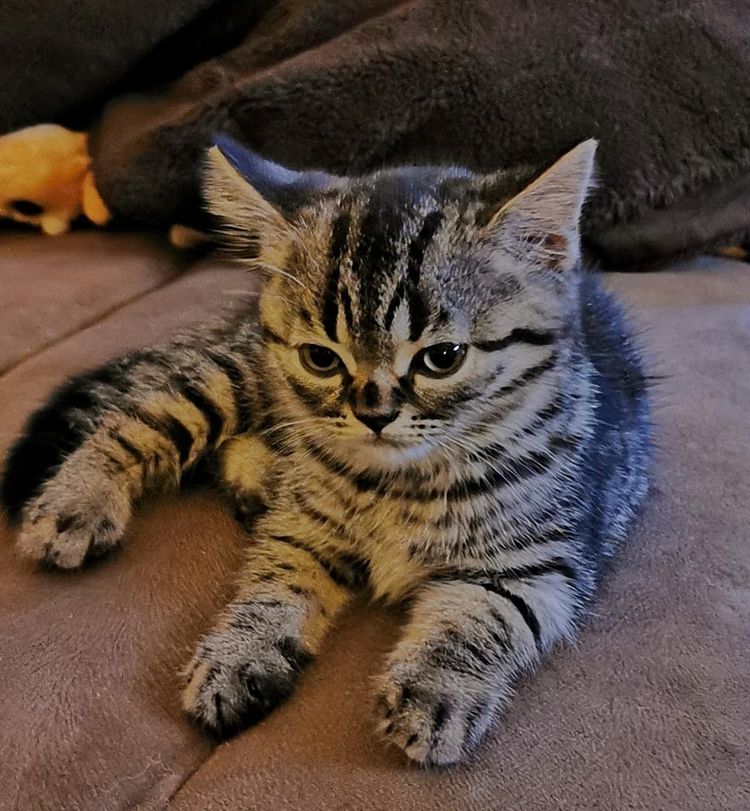 image-20230907132201-6