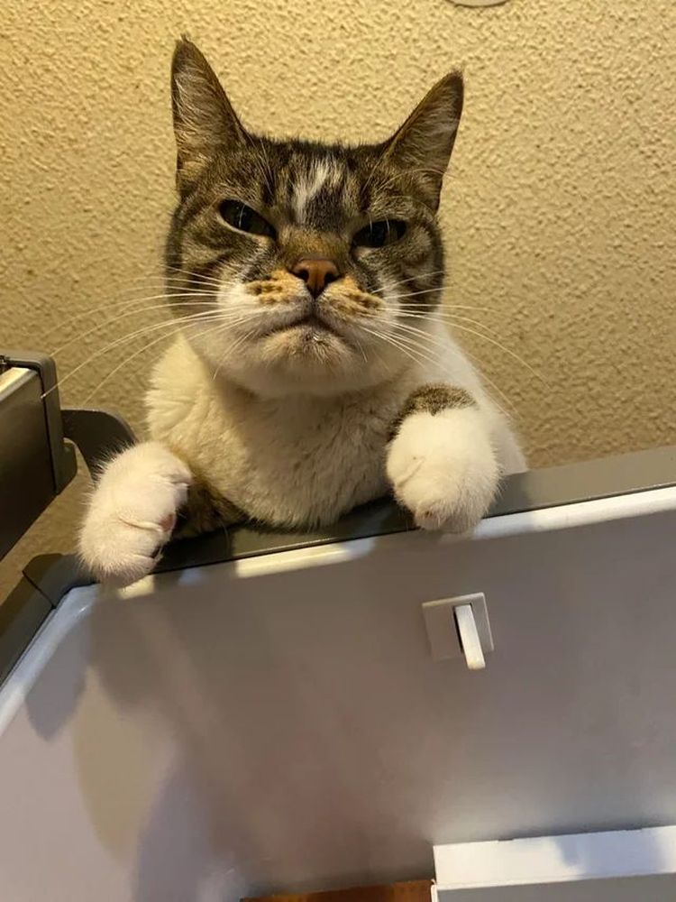 image-20230907132204-7