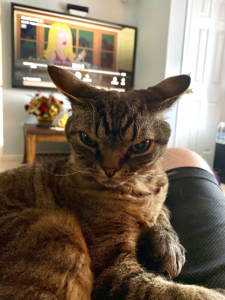 image-20230907132213-9