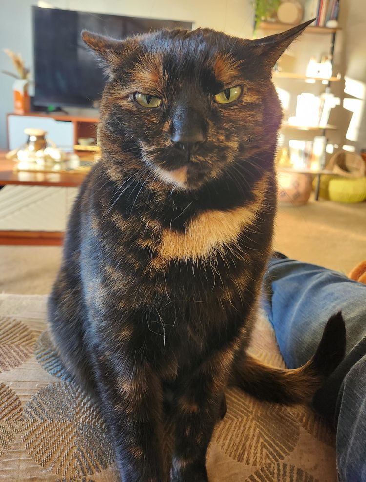 image-20230907132227-13