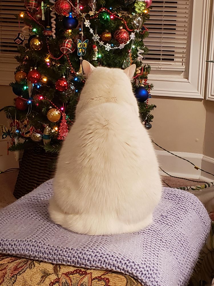 image-20230907132243-17