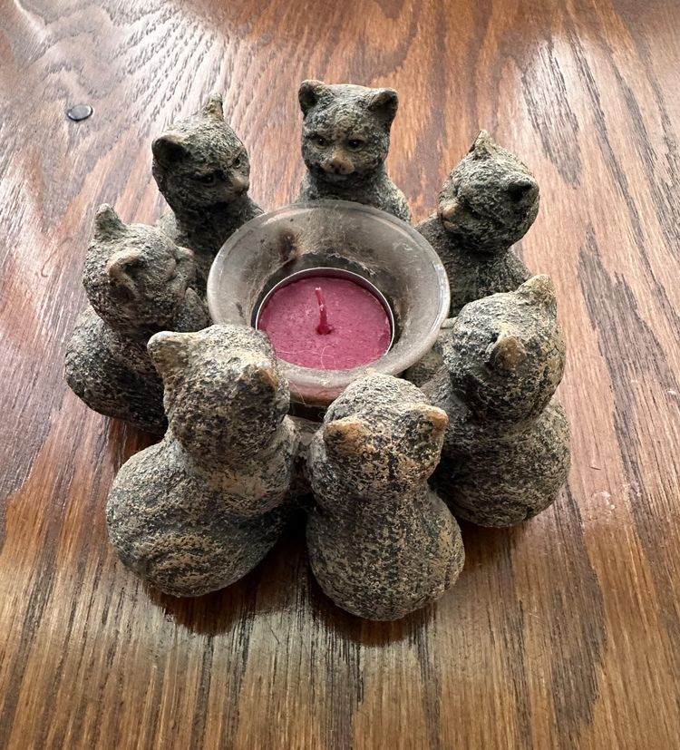 image-20230907150244-2