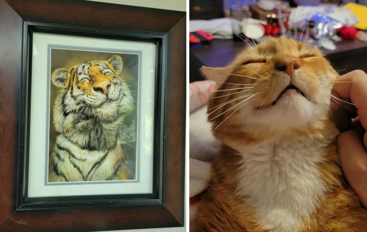 image-20230907150342-13