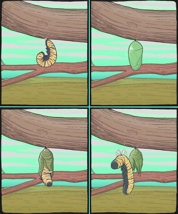 image-20230908124604-11