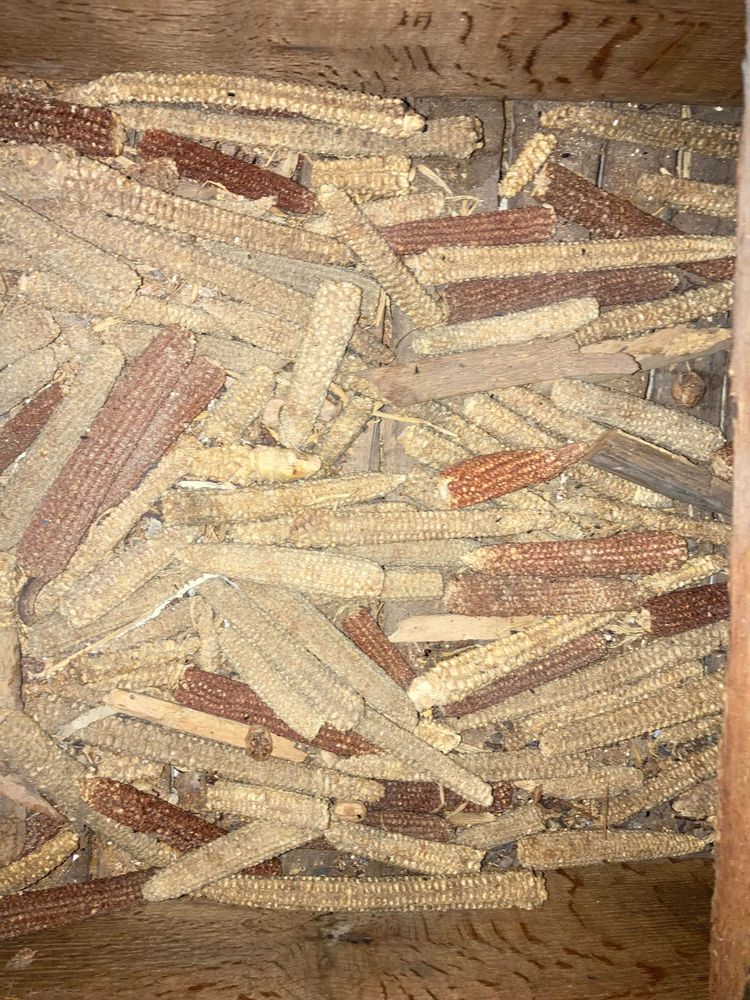 image-20230908133954-14