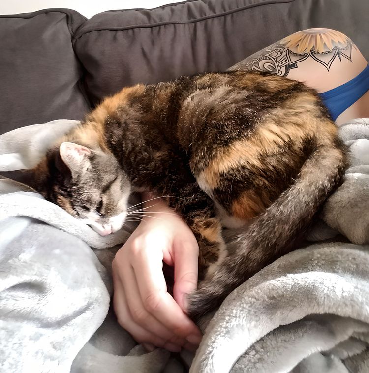 image-20230909140228-4