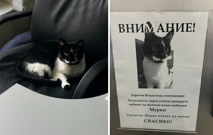 image-20230909140254-8