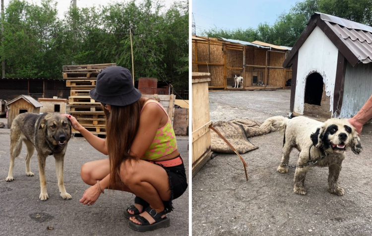 image-20230909140322-11