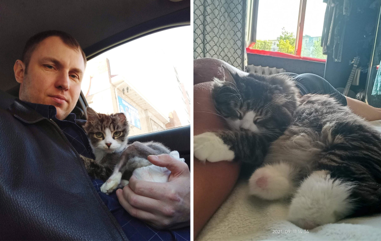 image-20230909140329-13