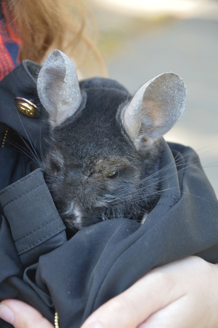 image-20230909140347-16