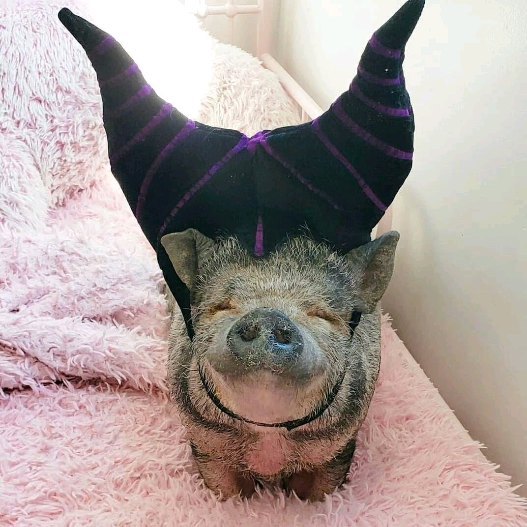 image-20230910024101-2