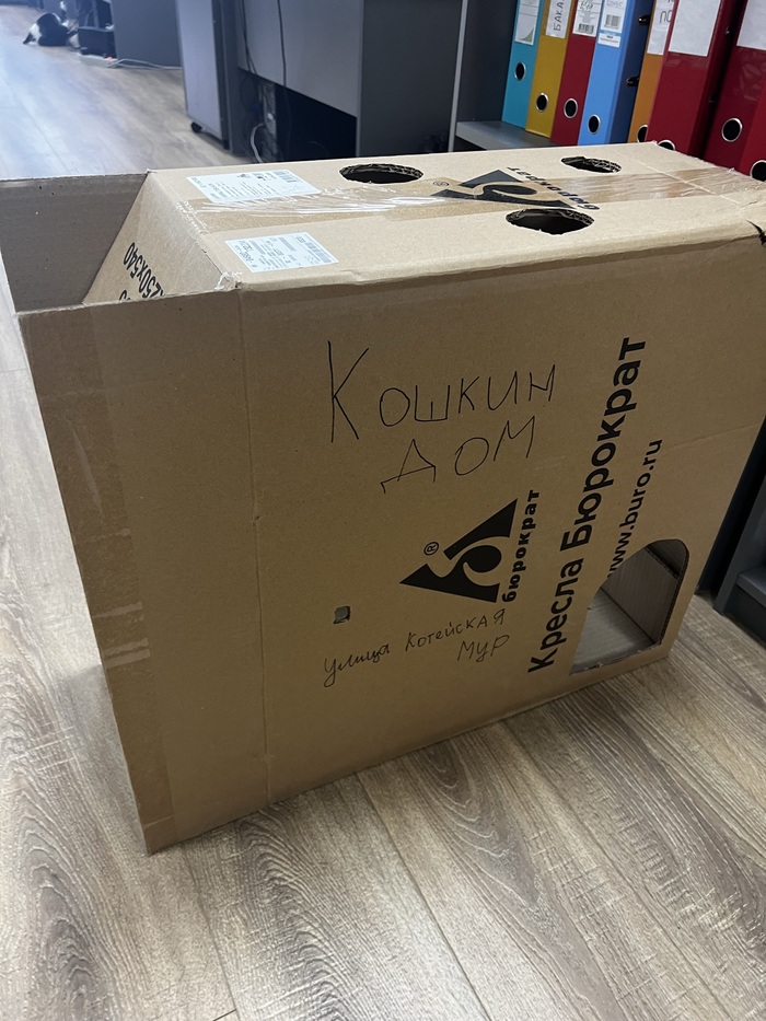 image-20230910034015-3