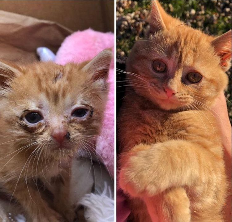 image-20230910125731-1