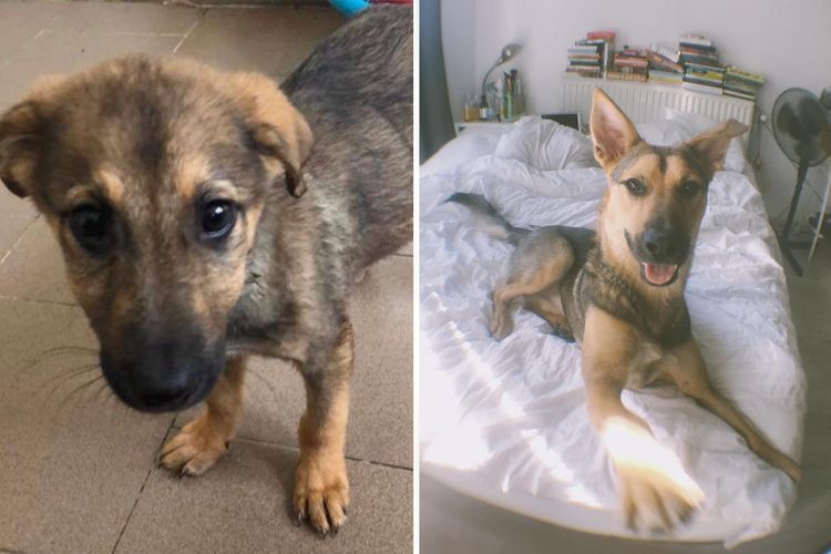 image-20230910125735-2