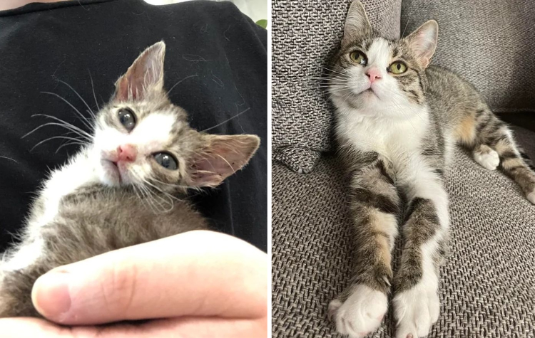 image-20230910125738-3