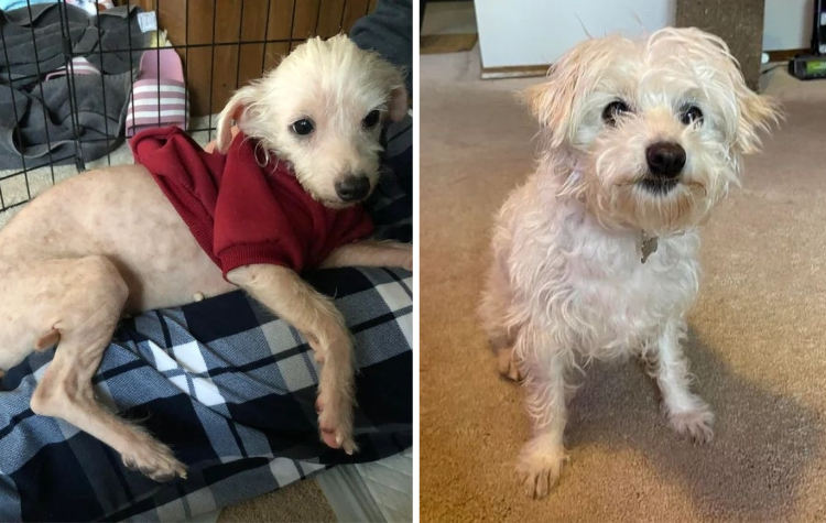 image-20230910125741-4