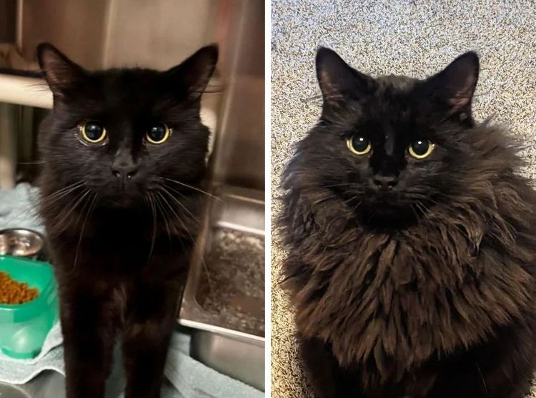 image-20230910125746-5