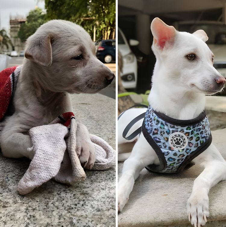 image-20230910125749-6