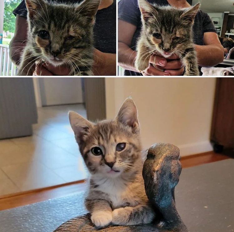 image-20230910125753-7