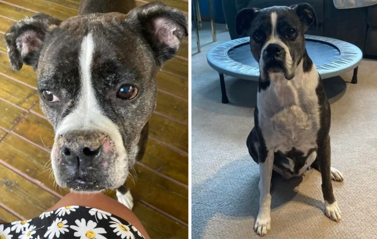 image-20230910125757-8