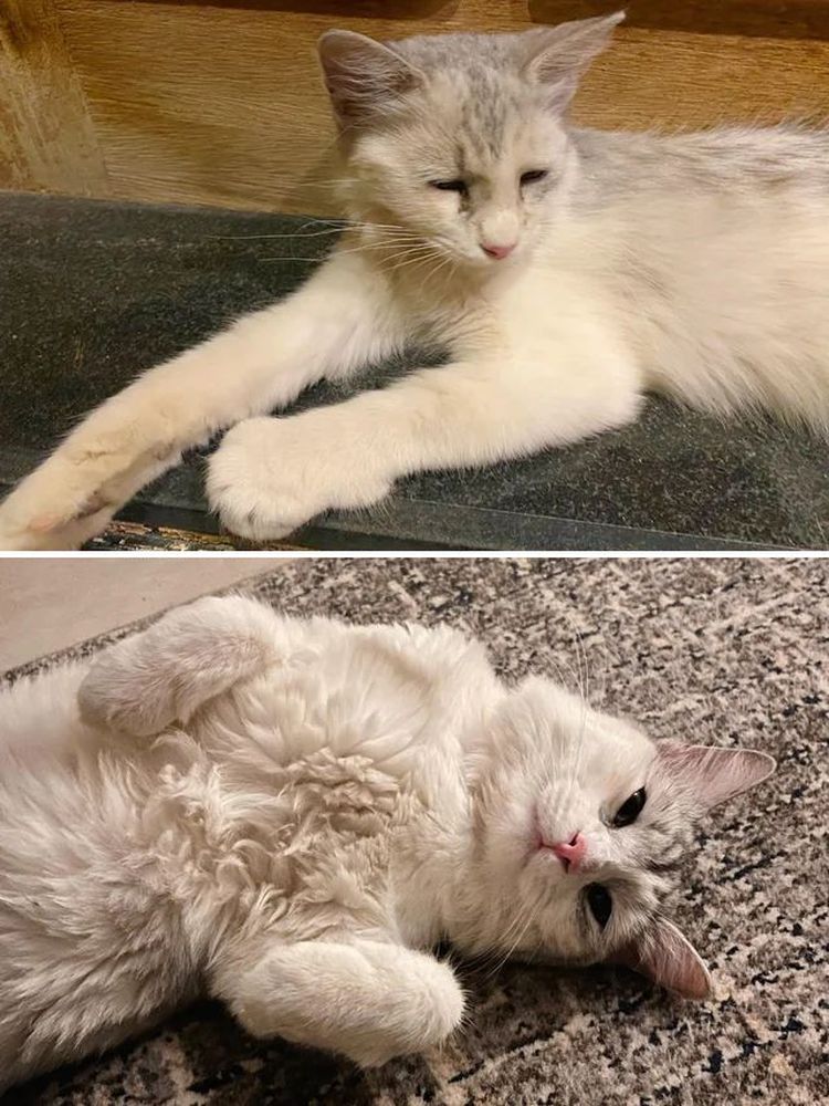 image-20230910125801-9