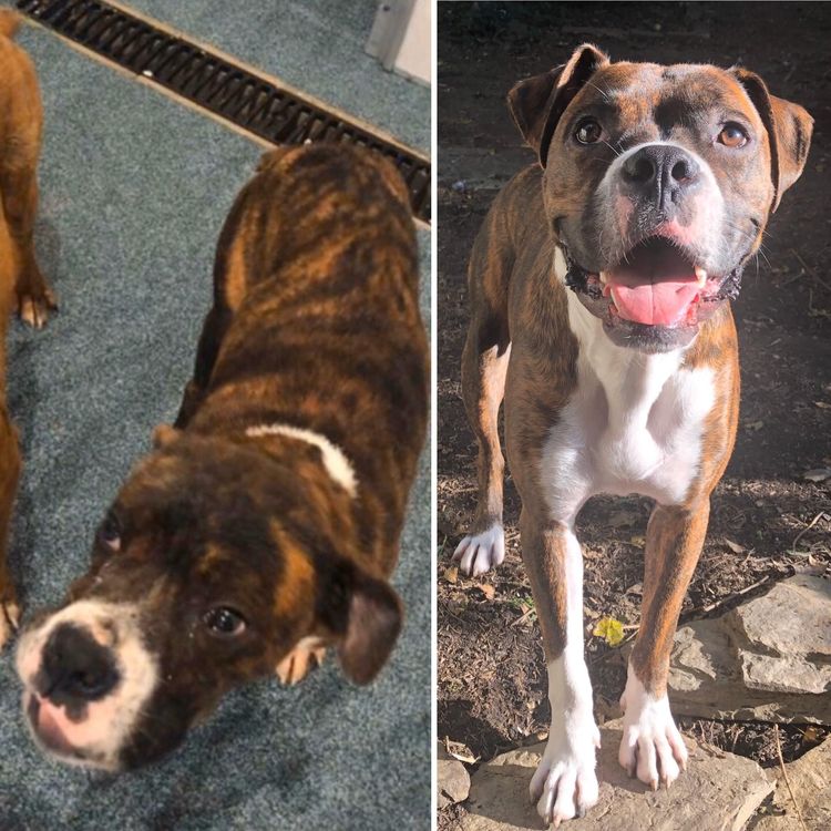 image-20230910125805-10