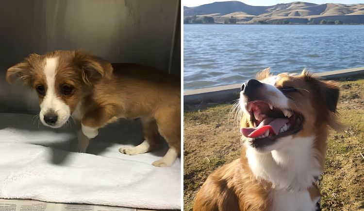 image-20230910125812-12