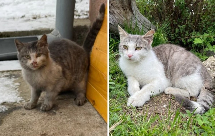 image-20230910125822-13