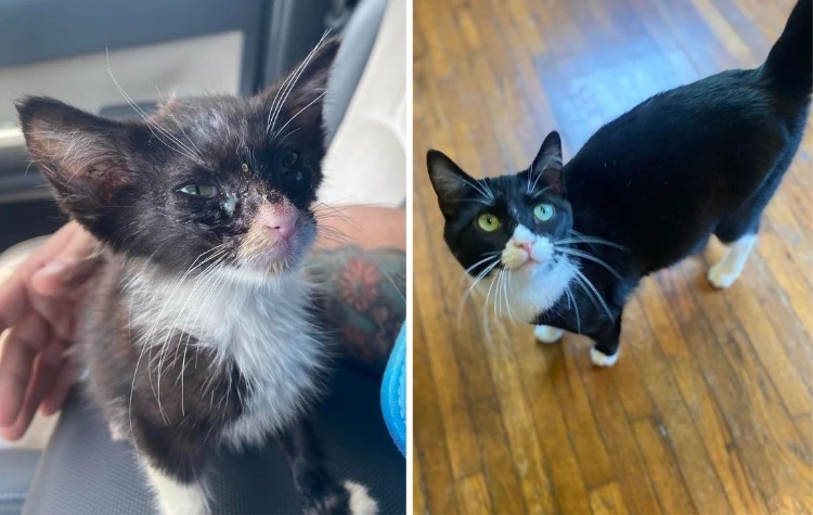 image-20230910125829-15