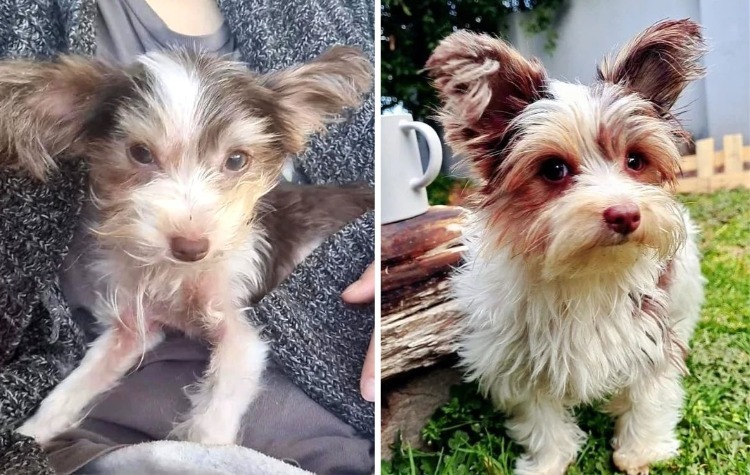 image-20230910125833-16