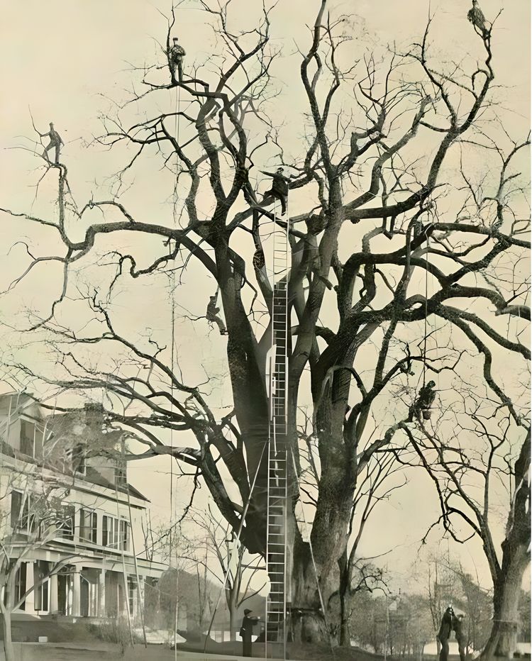 image-20230910140547-11