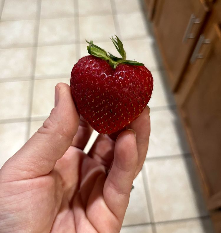 image-20230918124740-2