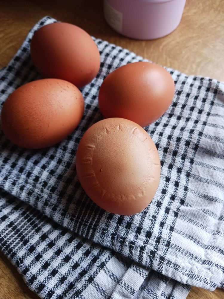 image-20230918141802-5